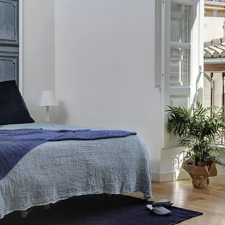 Duplex Lux Escudo Del Carmen *