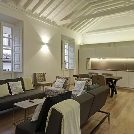 Duplex Lux Escudo Del Carmen Apartment Granada