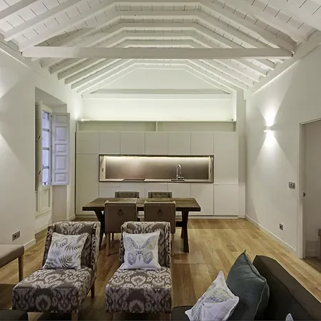 Duplex Lux Escudo Del Carmen * Granada
